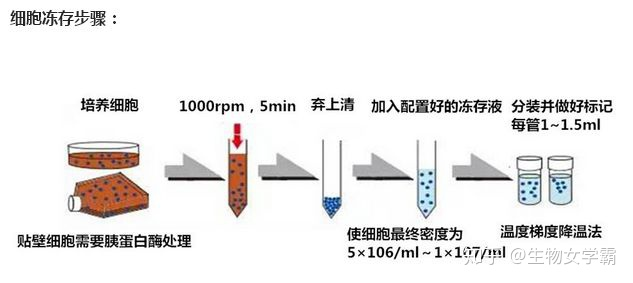 圖片5.png